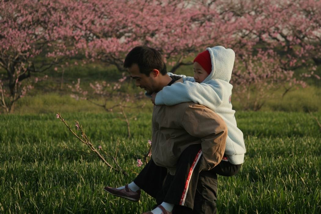http://m.omega3-ala.com/pics/default/download/6ce9a8a0afd67a431eb0985cf5ee06cc.jpg
