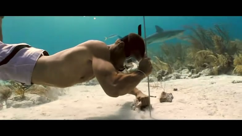 http://m.omega3-ala.com/pics/default/download/6cf1d5269bbcdafa1cfc3da7c96d8a7a.jpg
