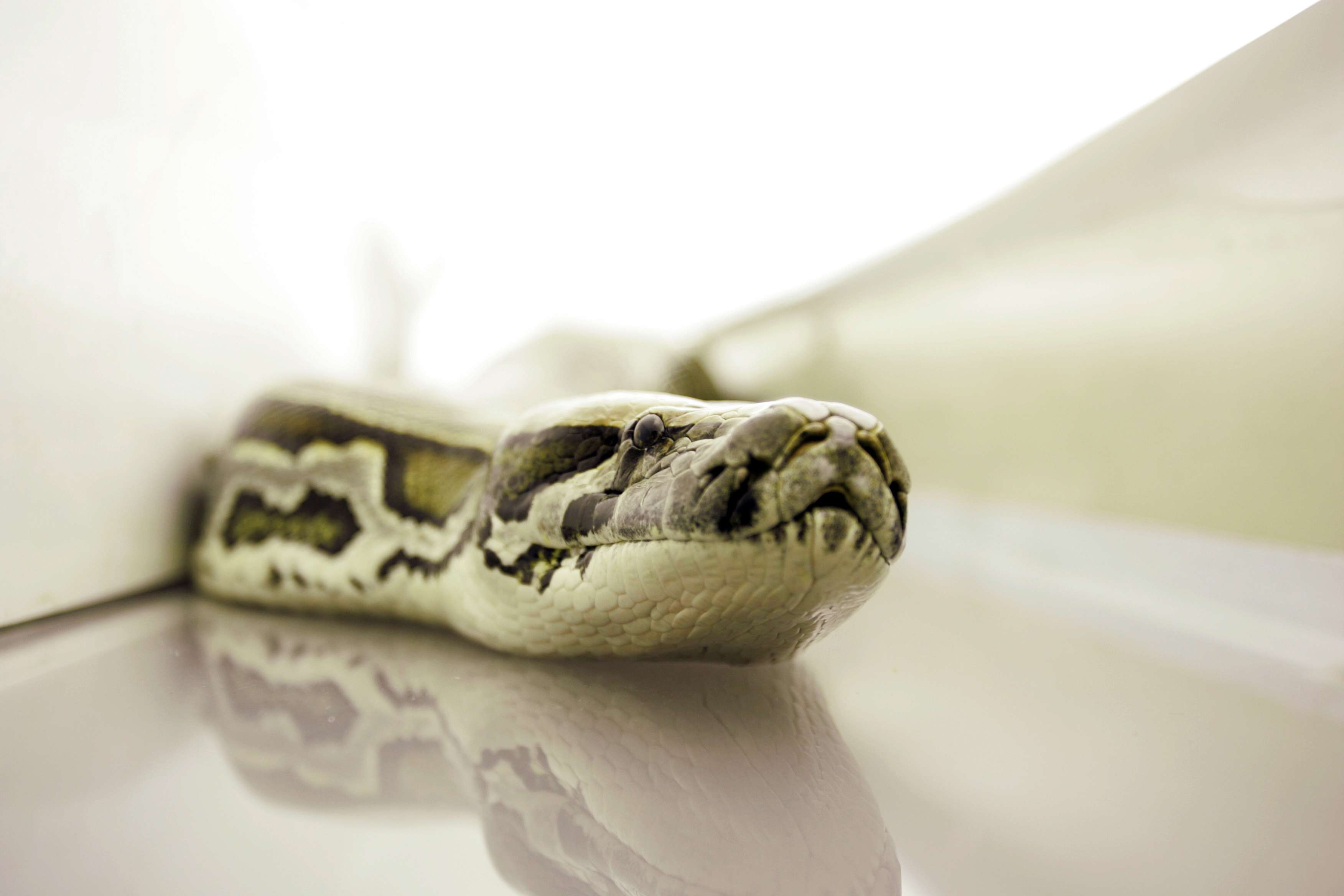 http://m.omega3-ala.com/pics/default/download/6e14663acce9ba21fe2ac49cb82472d8.jpg