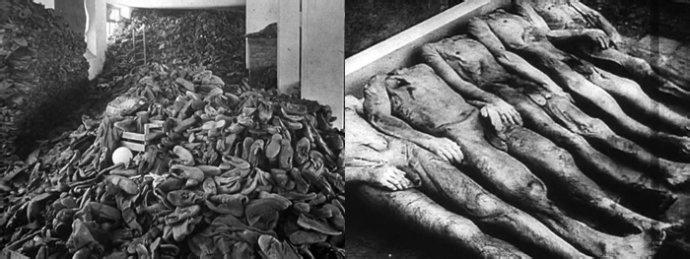 http://m.omega3-ala.com/pics/default/download/7421ae830504ff48f92784933a4c9d61.jpg