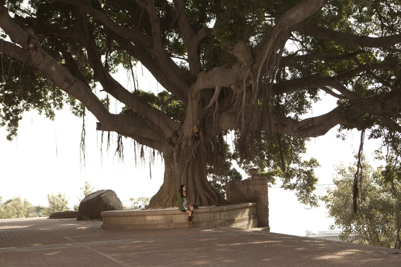 第一次 精彩圖冊1