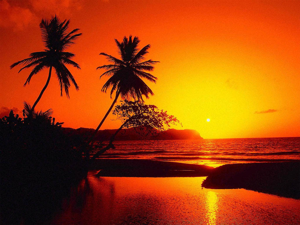 http://m.omega3-ala.com/pics/default/download/75aaeb47d870cfa516bdc9f6963b7107.jpg