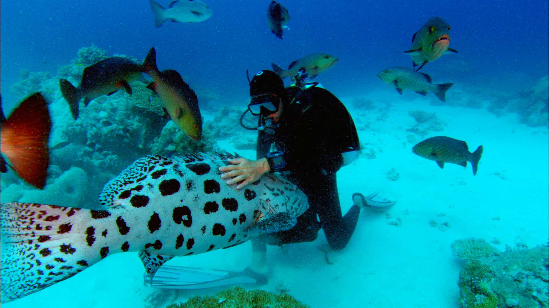 http://m.omega3-ala.com/pics/default/download/7735b203aec572b7bff5bb127f749e57.jpg
