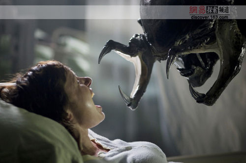 http://m.omega3-ala.com/pics/default/download/77802010ce1b28c9b2d95a7de2f39f5e.jpg