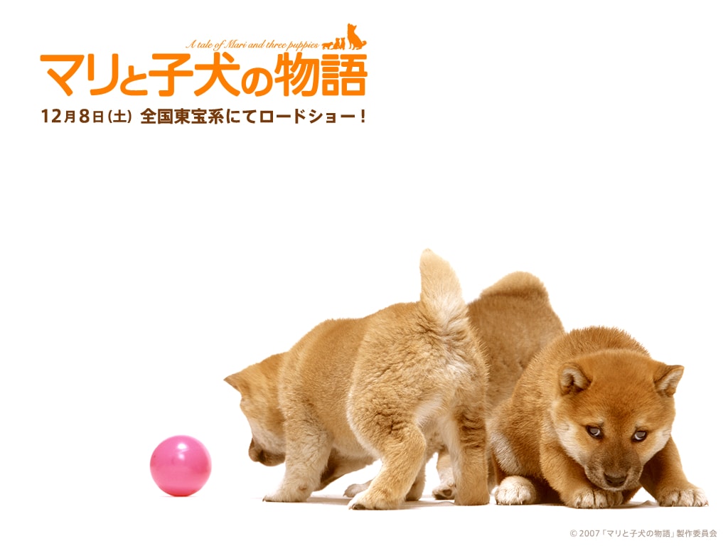 http://m.omega3-ala.com/pics/default/download/778ad8e001abf1e716291c5ffeb62fdd.jpg