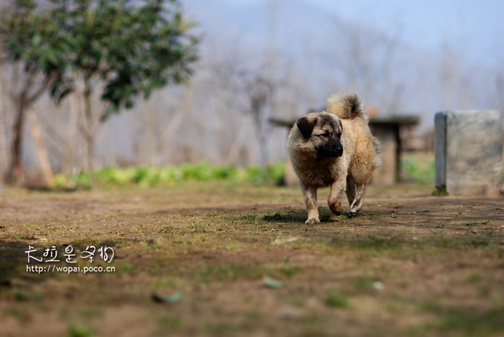 http://m.omega3-ala.com/pics/default/download/7983975ee756c9def89ac66ccbaa65ce.jpg