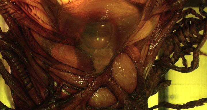 http://m.omega3-ala.com/pics/default/download/79f935d9b859a77977969b9e808cb1be.jpg