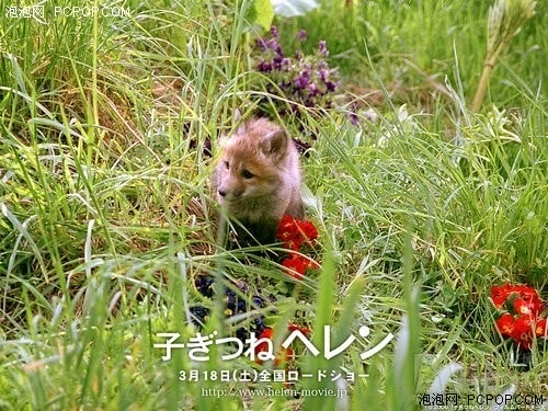 http://m.omega3-ala.com/pics/default/download/7b18766fe7d918484f36e1a273dbe8ea.jpg