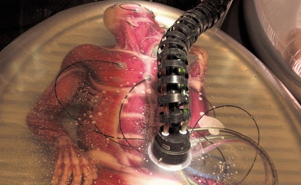 http://m.omega3-ala.com/pics/default/download/7b197bceab1527761d88a83b2b8df067.jpg