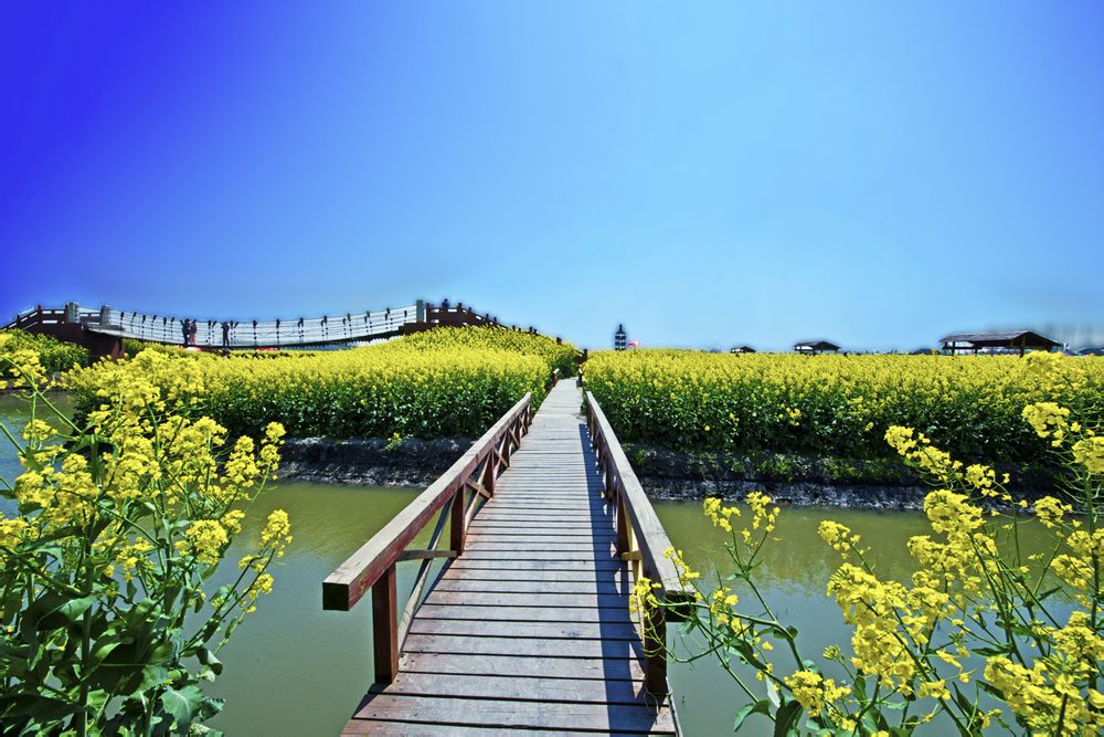 http://m.omega3-ala.com/pics/default/download/7cd53fe2e178be2e5d7053249717fa23.jpg