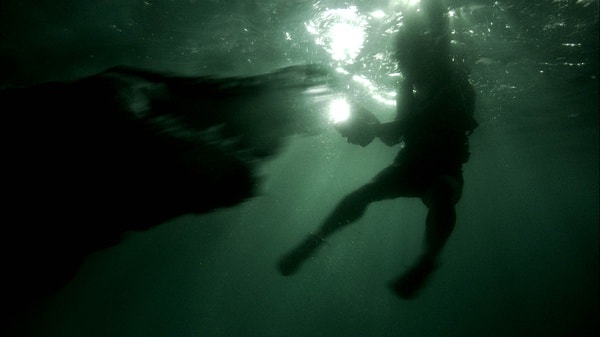 http://m.omega3-ala.com/pics/default/download/7ea8cb22dd5438def768ce37e76bc174.jpg