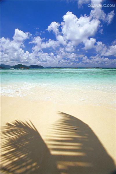 http://m.omega3-ala.com/pics/default/download/82116114465691f97a7a41e2b2baf153.jpg