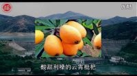 福建省漳州市云霄縣峰頭村生態(tài)宣傳視頻——福州大學(xué)赴云霄縣“美麗鄉(xiāng)村”發(fā)展幫扶實(shí)踐隊(duì)宣