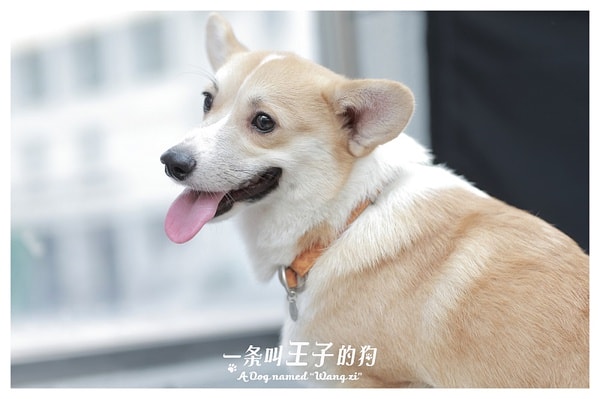 http://m.omega3-ala.com/pics/default/download/8261e67a74e444f76ffa6f3adf9d1c06.jpg