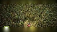 電視劇《《紅高粱》周迅激情戲完整版 網友：太激烈