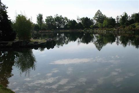 http://m.omega3-ala.com/pics/default/download/85e06f10dfd27adb487fdf7f3d797759.jpg
