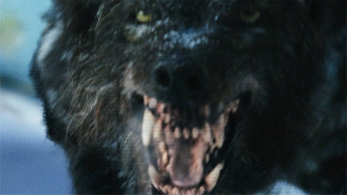 http://m.omega3-ala.com/pics/default/download/873f00b37eb3e48dc60a715c593794a5.jpg