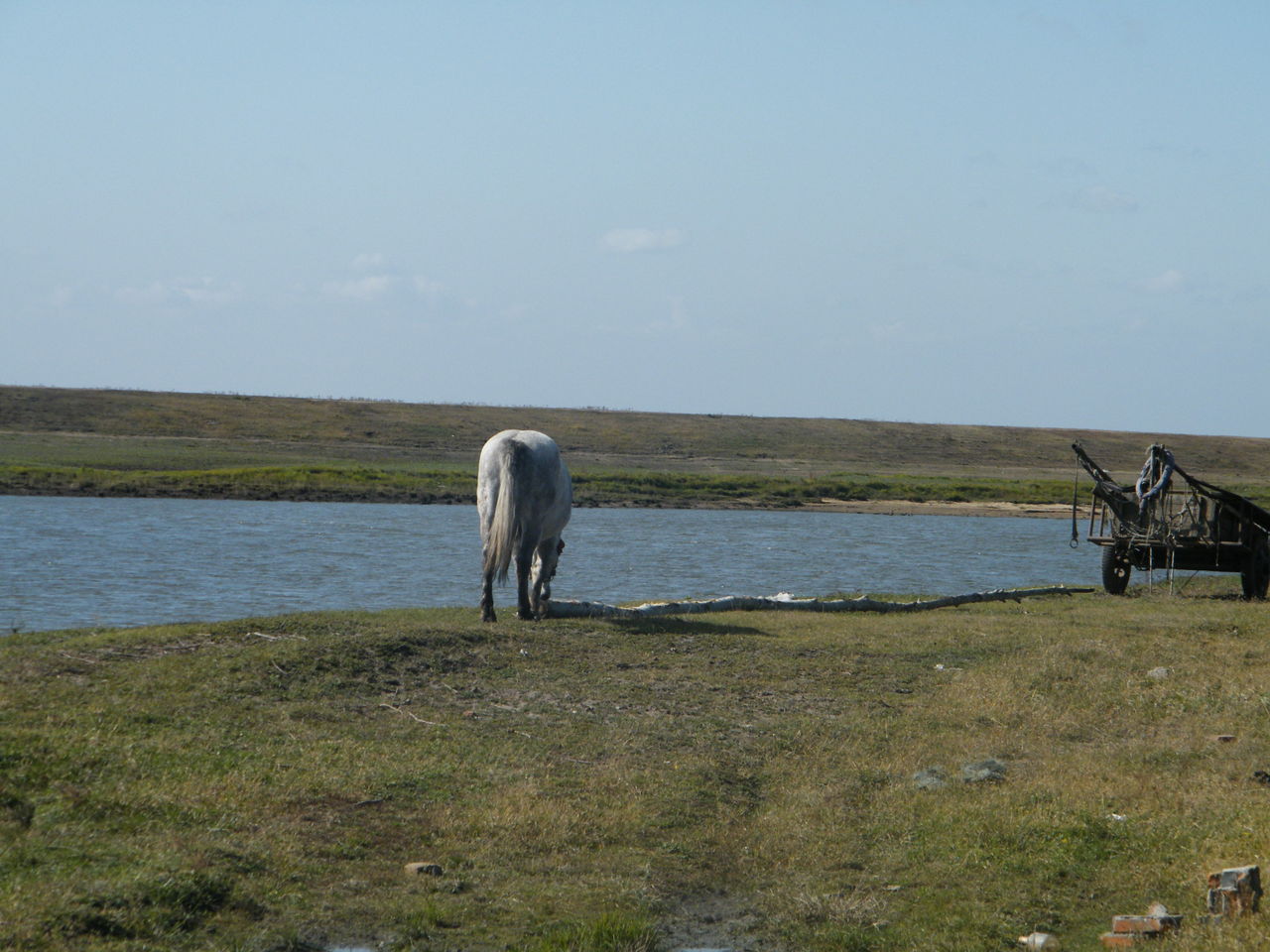 http://m.omega3-ala.com/pics/default/download/874ec7b979ef8bb1f5c76b30b0b5d39c.jpg