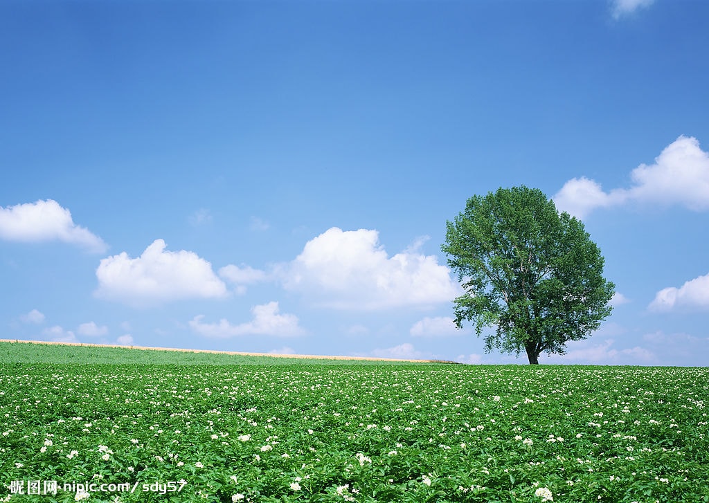 http://m.omega3-ala.com/pics/default/download/87a1e2c758c3befef7e60cf25ca52aa1.jpg