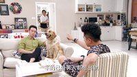 《新婚公寓》雞湯版預(yù)告片