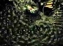 2010∮以色列劇情片《黎巴嫩》Trailer