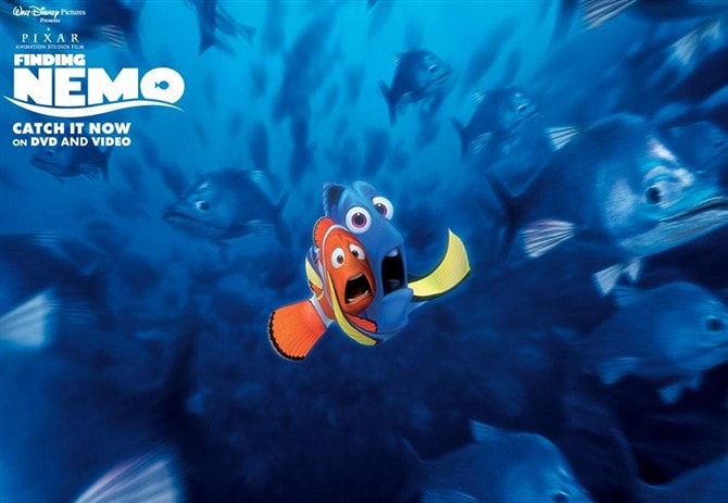 http://m.omega3-ala.com/pics/default/download/8e729d8e695986533de493479ea6da7e.jpg