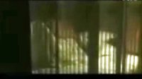 陳小藝遭遇婚外情《突然心動(dòng)》床戲投入
