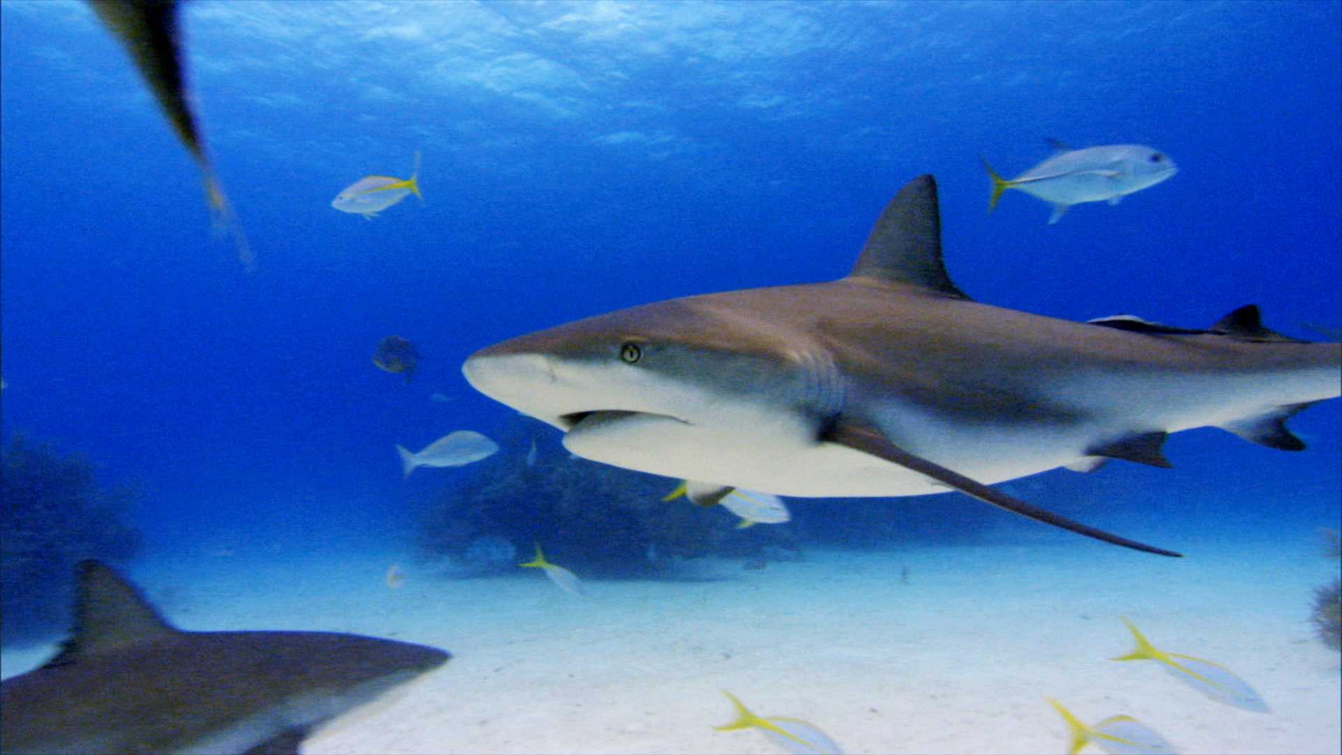 http://m.omega3-ala.com/pics/default/download/9491657759d99668109cb98ebc26c8c7.jpg