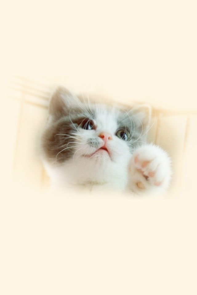 http://m.omega3-ala.com/pics/default/download/95ea0b9744951805b9a52c198e47134d.jpg