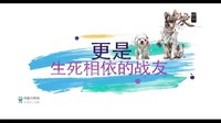 神犬奇兵7月15日起登陸山西衛(wèi)視催淚來(lái)襲