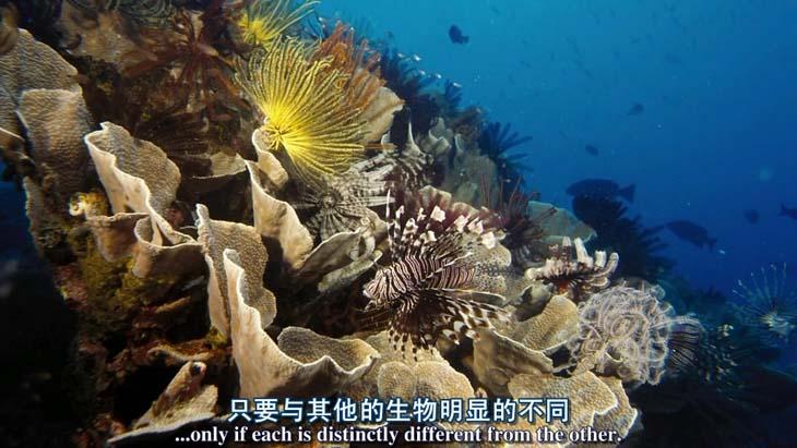 http://m.omega3-ala.com/pics/default/download/992b0373551d3691d583e4fe0482bdde.jpg