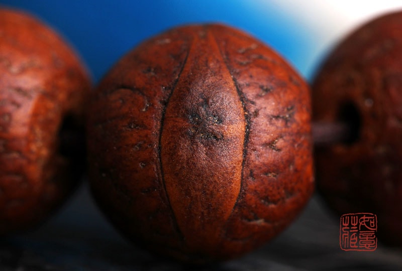 http://m.omega3-ala.com/pics/default/download/997602aefba871fa2aa094c4657a1c9f.jpg