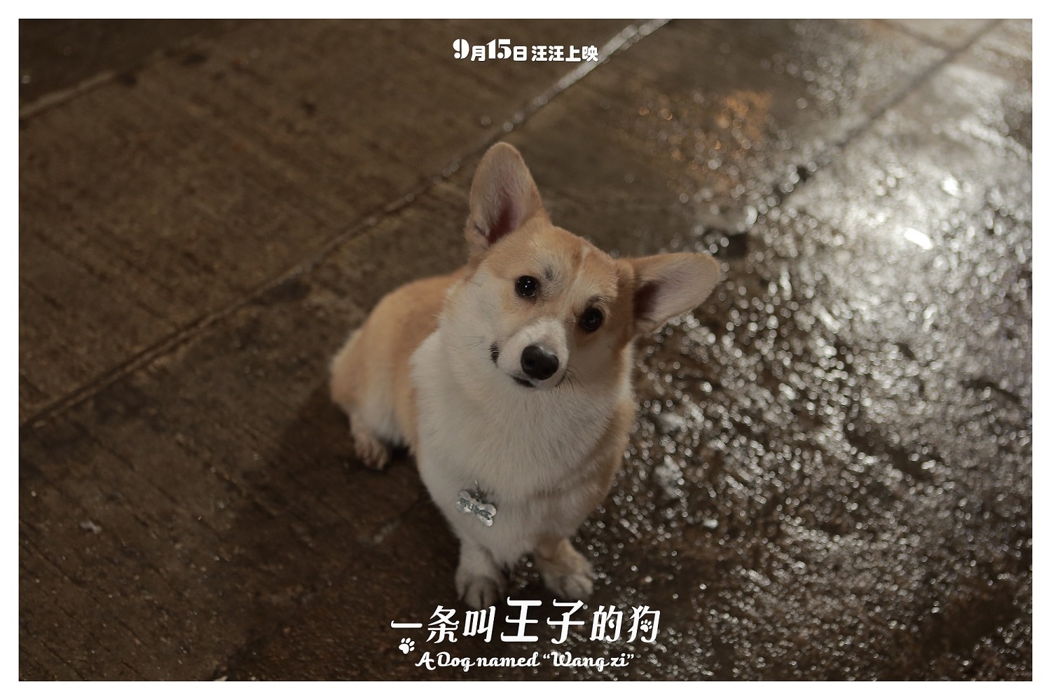 http://m.omega3-ala.com/pics/default/download/99eb57a7046266d063a9bf916829e505.jpg
