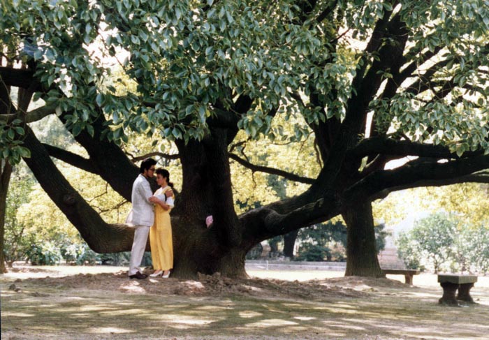 http://m.omega3-ala.com/pics/default/download/9a3e5b18d79ad8f47f88b69732710d77.jpg