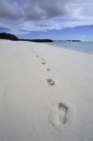 http://m.omega3-ala.com/pics/default/download/9a47642407bf1bfd8d3a6ecebdf3fb75.jpg