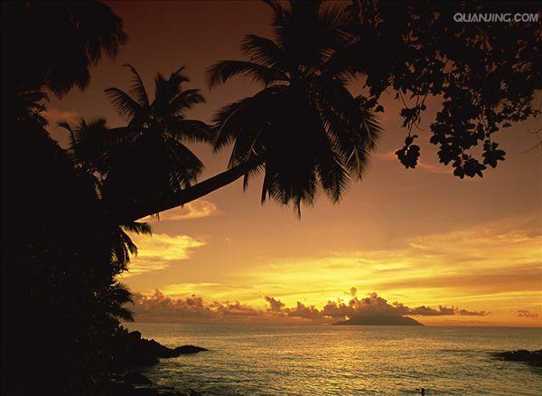 http://m.omega3-ala.com/pics/default/download/9c79f74956b942f52d296d0b9be269d6.jpg