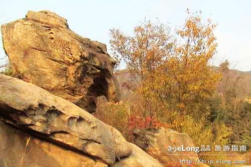 http://m.omega3-ala.com/pics/default/download/9d1f12ca2ef9a7a98996bb18f8954f6f.jpg