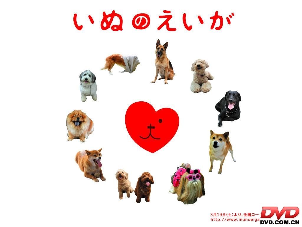 http://m.omega3-ala.com/pics/default/download/9d2eeb60d8298b3568049868797c99bf.jpg