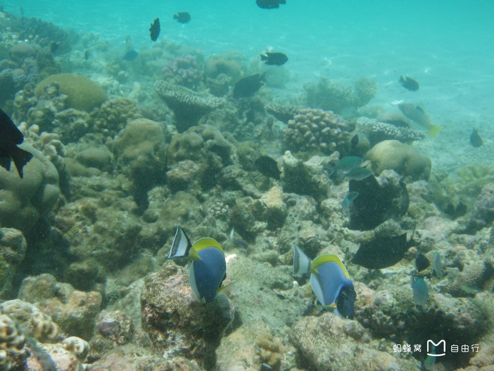 http://m.omega3-ala.com/pics/default/download/9f6ff1b293f95f371cec16a1522cde3c.jpg