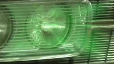 制作特輯之Black Beauty