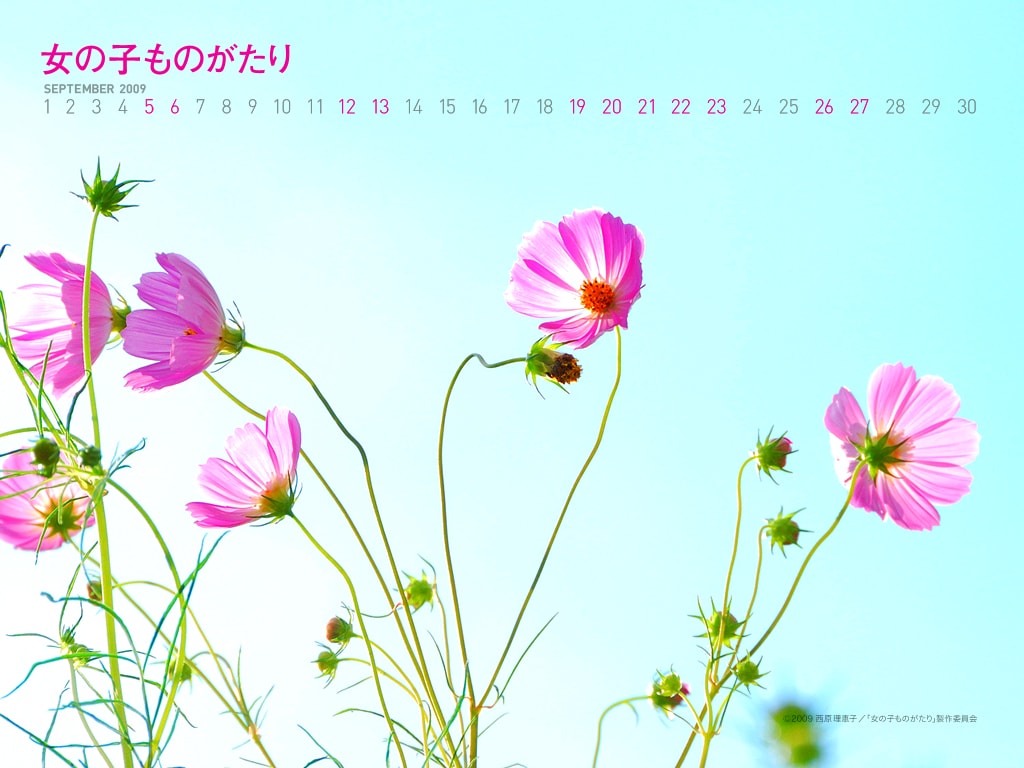 http://m.omega3-ala.com/pics/default/download/a0e3884b7f9edc3bb7e348d1bd8bbdf3.jpg