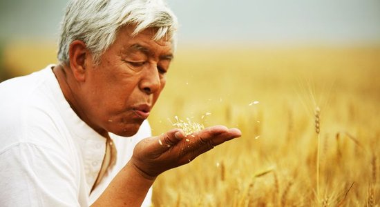 http://m.omega3-ala.com/pics/default/download/a16898ebfbda029e88c027328f5b07be.jpg