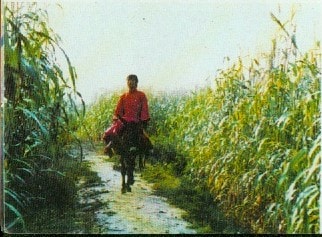 http://m.omega3-ala.com/pics/default/download/a29f671803f2ce424db27e7c84bfa3f5.jpg