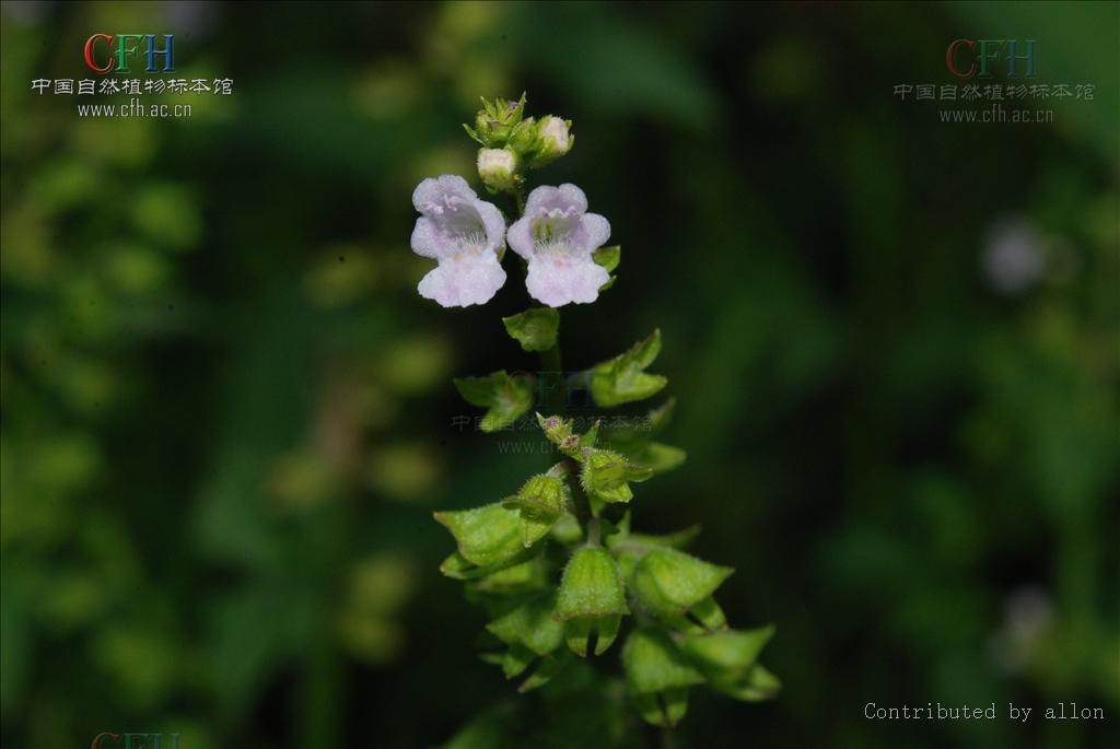http://m.omega3-ala.com/pics/default/download/a47fc46b4214af2a6932e0ed78758bef.jpg