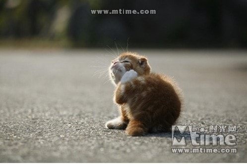 http://m.omega3-ala.com/pics/default/download/aa47c90d71a31ffd67630b9f152a0ec3.jpg