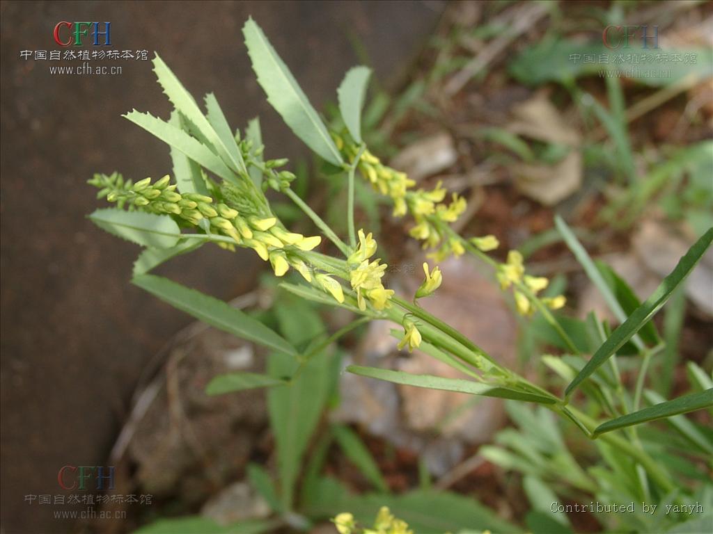 http://m.omega3-ala.com/pics/default/download/aadde0fc16ce1791aca4e879a0d66dd7.jpg