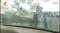 河北衛(wèi)視《守望的天空》