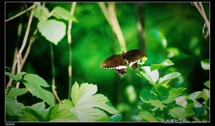 http://m.omega3-ala.com/pics/default/download/acd2ba91f1f02ad958c40830df261562.jpg