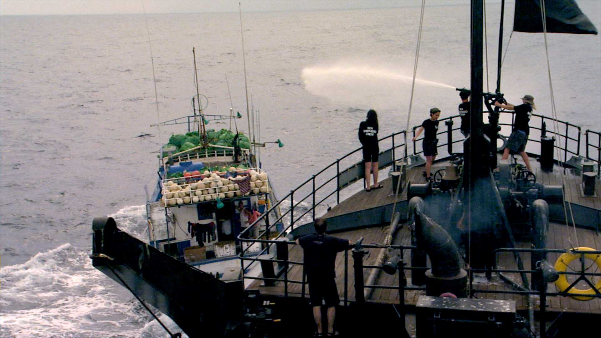 http://m.omega3-ala.com/pics/default/download/acfb4ae79c2204b9ca9bb4fe1d06cfe7.jpg