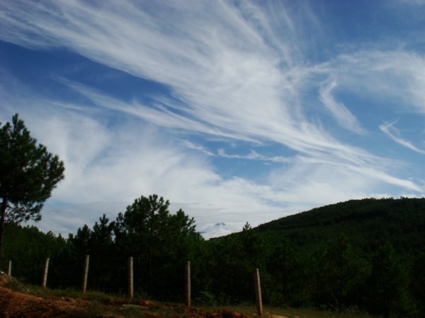http://m.omega3-ala.com/pics/default/download/ad3c3b690b71097074b3c991ec8d18ac.jpg